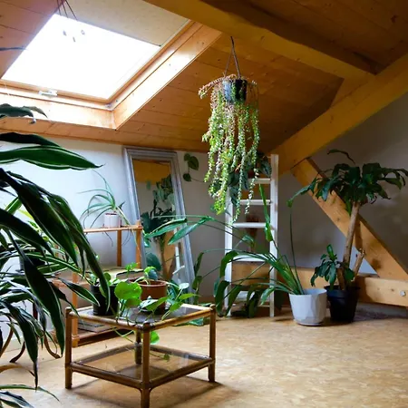 Loft De Gamme Entre Verdure Et